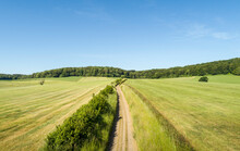 Rural Road Through Fields With Forest In Distance Near Limburg, The Netherlands.