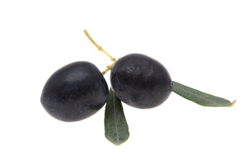 Poster - olives on a branch isolated