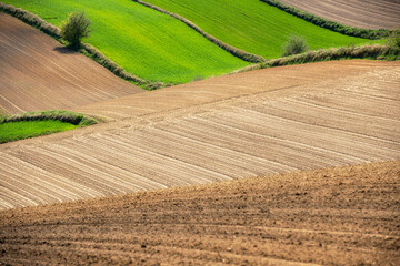 Wall Mural - Beautiful spring rural landscape with plowed fields