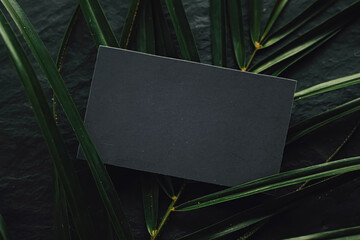 Black business card flatlay on dark stone background and green exotic leaf, luxury branding flat lay and brand identity design for mockups