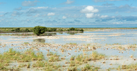 Images of landscapes in Namibia