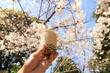 桜の花とタピオカミルクティー