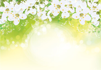Wall Mural - vector floral background. white flowers and leaves border on green bokeh background.