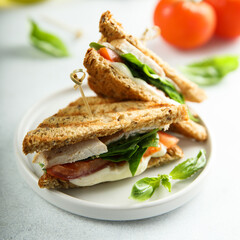 Poster - Chicken sandwich with tomato and cheese