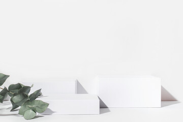 White background for cosmetic products. Rectangular podiums with the shadow of the branches of the eucalyptus.