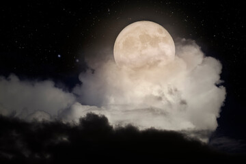 Wall Mural - full moon night