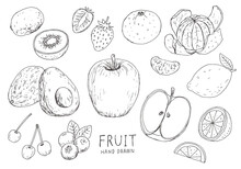果物の手描きイラストセット