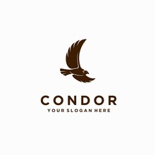 Condor Bird Logo With Simple Concept