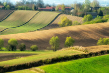 Beautiful Spring Rural Landscape With Green Fields