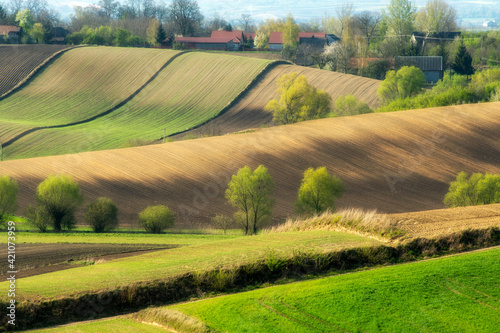 wionenny-krajobraz
