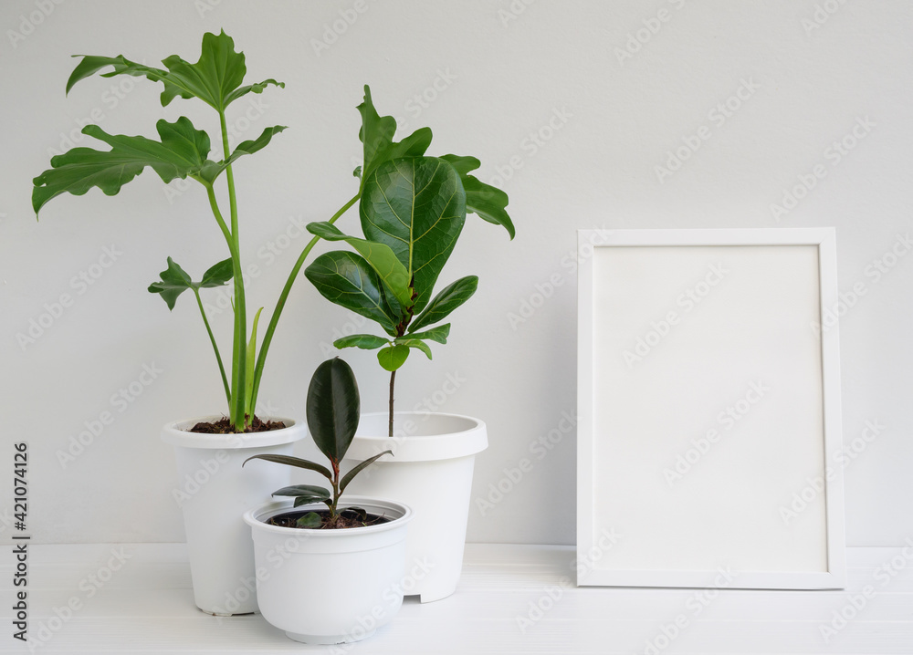 Mock up photo frame and house plants in modern stylish container on ...