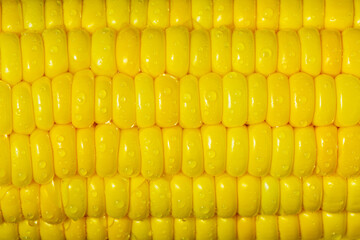 Close-up Sweet Corn on the cob, ingredient prepare for organic food