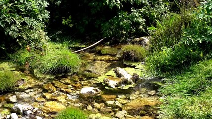 Wall Mural - View at Vrelo river waterfall at Perucac in Serbia