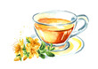 © dariaustiugova - Cup of herbal tea with bunch of fresh St. John’s wort or Hypericum perforatum plant. Watercolor hand drawn illustration, isolated on white background