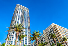 Oceanfront Apartment Skyscrapers Buildings Along Coast In Miami Beach, Florida With Green Palm Trees On Sunny Summer Day