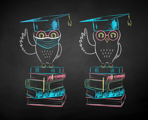 Wall Mural - student owl sitting on books