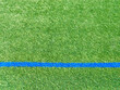Artificial turf with blue sideline.