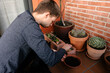 © Edgar - Hombre joven caucásico concentrado sentado en el suelo de su terraza cuidando las plantes que tiene en las macetas. Añadiendo tierra para las plantas