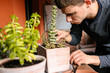 © Edgar - Hombre caucásico joven en la terraza de su casa cuidando sus plantas y suculentas con varias plantas encima de la mesa y material para cuidarlas