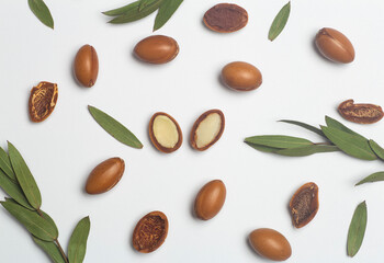 Wall Mural - Argan seeds isolated on a white background. Argan oil nuts with plant. Cosmetics and natural oils background