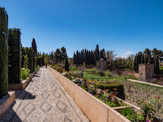 Wall Mural - Jardines del Generalife in Granada, Spain