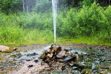 a beautiful natural fountain gushing out of the ground. close-up. selective focus. background. scene