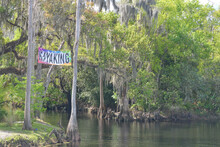 Kayaking On The Shingle Creek In The Shingle Creek Regional Park, Osceola County, Kissimmee, Florida
