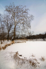 Wall Mural - 631-15 DuPage River Winter Sycamore