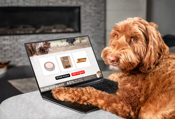 Labradoodle dog ordering online by internet for home delivery. Paws on laptop with a food shopping product selection. Concept for pets using technology, or animals imitating humans. Selective focus.