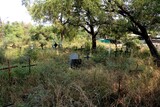 Fototapeta Tulipany - view of indian grave yard with cross and grave stone on green grass