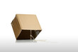 cardboard box with stick as trap
