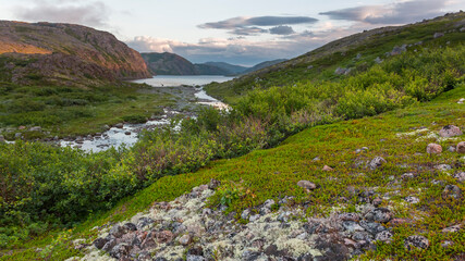 Sticker - Northern polar summer, beautiful coastline of Barents sea, Arctic ocean, Kola Peninsula, Russia