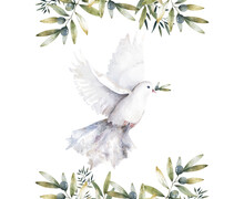 Pigeon And Olive Clip Art Digital Drawing Watercolor Bird Fly Peace Dove For Wedding Celebration Illustration Similar On White Background