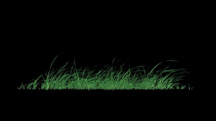 Wall Mural - grass swaying wind loop with alpha channel. easy to use and change you can place on footage or backg
