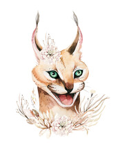 Africa Watercolor Savanna Caracal Animal Illustration. African Safari Wild Cat Cute Animals Face Portrait Character. Isolated On Whote Poster, Packaging ,invitation, Wedding Design