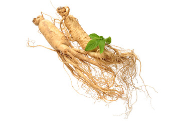 Wall Mural - Fresh ginseng slices on white background.