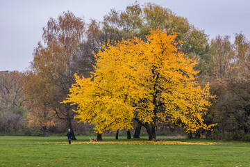 Poster - View in Pole Mokotowskie park in Warsaw, Poland