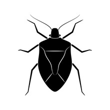 Stink Bug Icon Isolated On White, Vector  Illustration