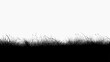 © ifh85 - black color silhouette grass seamless on white