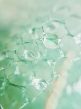 Close-up Of Water Droplets On Green Mesh Against Blurred Background