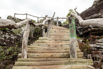  Rustic Wooden Stairs or walkway on the trail at Chapada Veadeiros National Park, Brazil