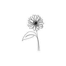 Continuous One Line Drawing Of Sunflower. Minimalist Art. Vector Illustration.