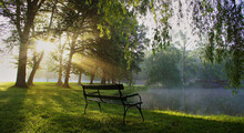 Bench In Park