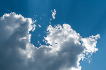 Bright blue sky with white fluffy clouds and bright sunlight.