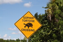 Yellow Road Sign Turtle Crossing