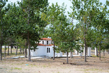Small Church Surrounded By Trees. Vrasna, Greece.