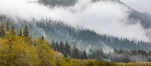 USA, Washington State, Olympic National Park. Quinault River Valley Composite Panoramic.