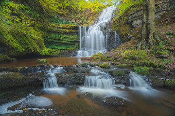 Wall Mural - Beautiful nature waterfall in a woodland forest at Scaleber Force falls in Ribblesdale of the Yorkshire Dales National Park, England, UK.