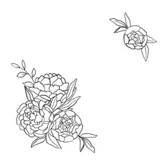 Wall Mural - Frame with peonies for greeting cards and invitations. Black outline of flowers on a white background, vector illustration.