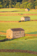 Wall Mural - Golden light on old stone barns, stone walls at the village of Gunnerside in the rural English countryside pastoral landscape of the Yorkshire Dales National Park.